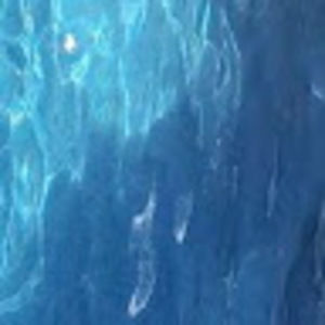 Meet your Posher, Salma